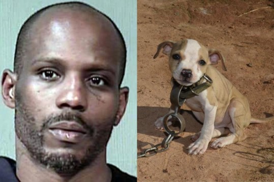 DMX-arrested-pit-bull-fighting